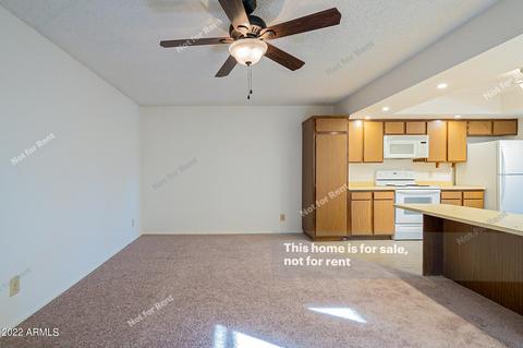 12017 S Eagleman Dr, Phoenix, AZ 85044 photo 8