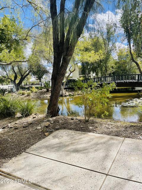 4642 N 40th St, Phoenix, AZ 85018 photo 7