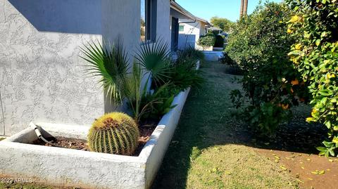 4301 E Mulberry St, Phoenix, AZ 85018 photo 30