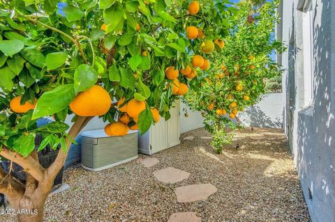 1543 E Cheery Lynn Rd, Phoenix, AZ 85014 photo 46