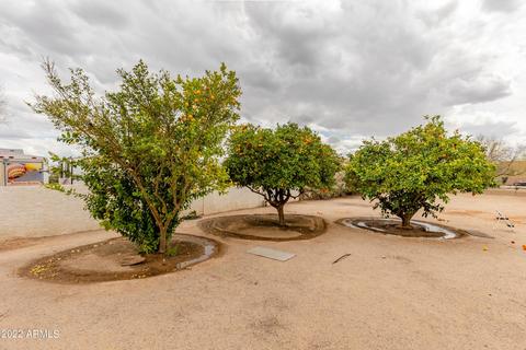 807 E Galvin St, Phoenix, AZ 85086 photo 32