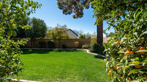 3401 E Fairfield St, Mesa, AZ 85213 photo 60