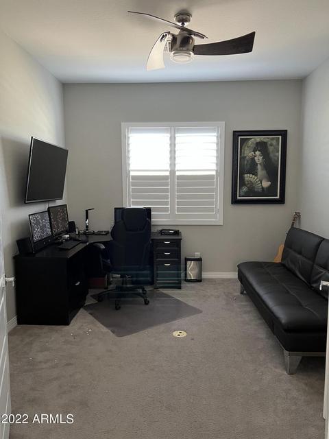 10406 E Thornbush Ave, Mesa, AZ 85212 photo 116