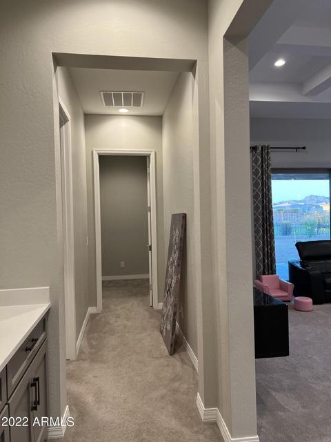 10406 E Thornbush Ave, Mesa, AZ 85212 photo 114