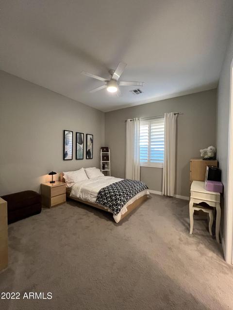 10406 E Thornbush Ave, Mesa, AZ 85212 photo 106