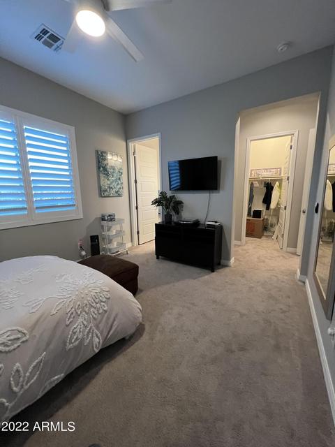 10406 E Thornbush Ave, Mesa, AZ 85212 photo 100