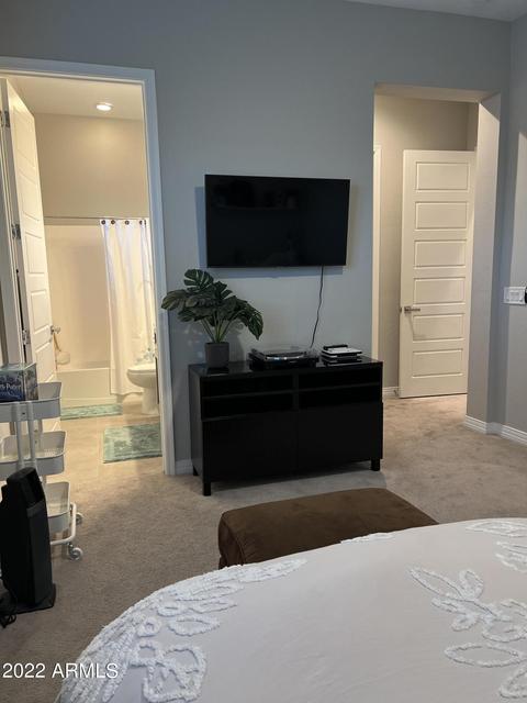 10406 E Thornbush Ave, Mesa, AZ 85212 photo 97