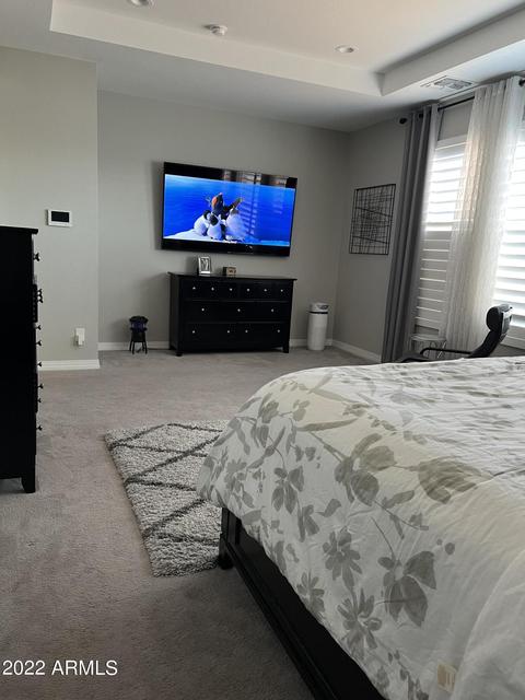 10406 E Thornbush Ave, Mesa, AZ 85212 photo 82