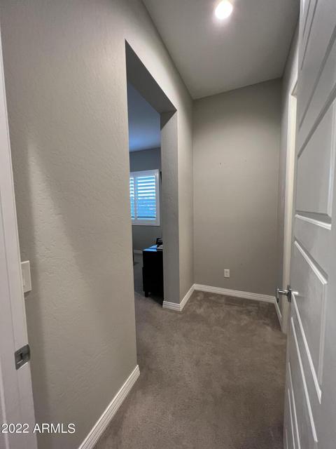 10406 E Thornbush Ave, Mesa, AZ 85212 photo 94