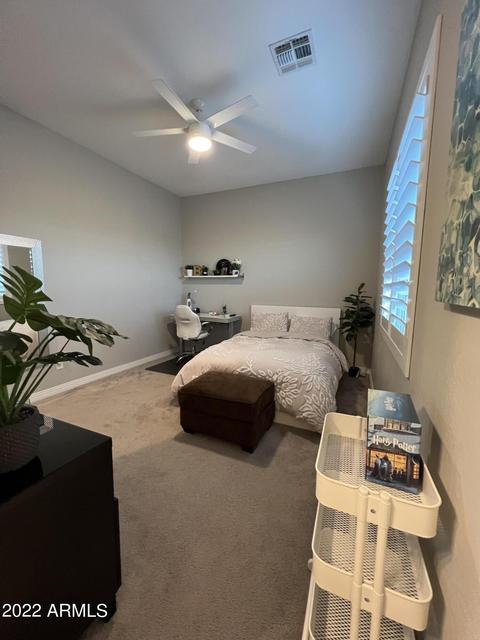 10406 E Thornbush Ave, Mesa, AZ 85212 photo 99