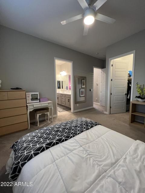 10406 E Thornbush Ave, Mesa, AZ 85212 photo 113