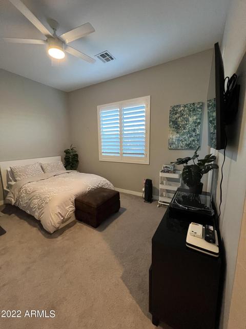 10406 E Thornbush Ave, Mesa, AZ 85212 photo 96