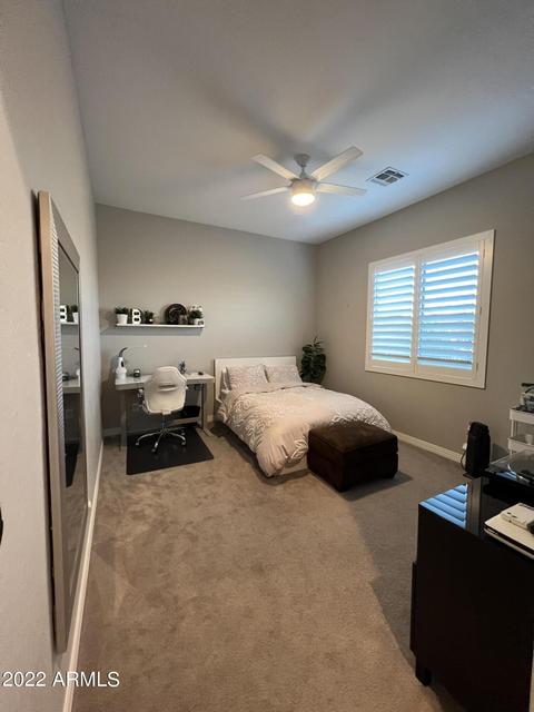 10406 E Thornbush Ave, Mesa, AZ 85212 photo 95