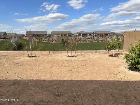 10406 E Thornbush Ave, Mesa, AZ 85212 photo 151