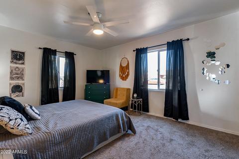 2917 E Diamond St, Phoenix, AZ 85008 photo 20