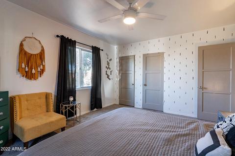 2917 E Diamond St, Phoenix, AZ 85008 photo 22