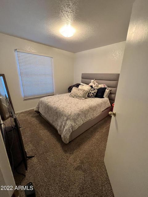 1421 E Irwin Ave, Phoenix, AZ 85042 photo 28