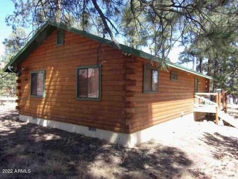 1981 Christmas Pine Cir, Overgaard, AZ 85933 photo 17