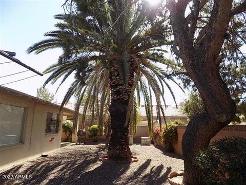 6161 E Akron St, Mesa, AZ 85205 photo 27
