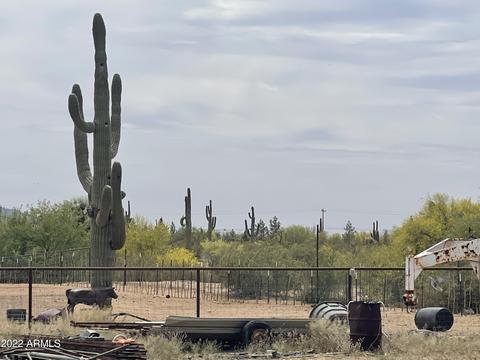23019 E Bear Cave Trl, Florence, AZ 85132 photo 5