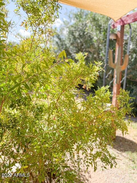 4214 N 77th Ave, Phoenix, AZ 85033 photo 42