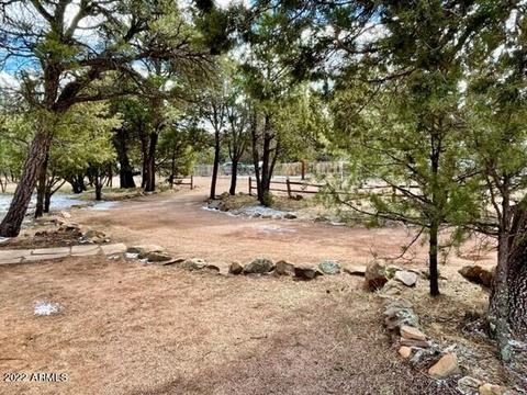 2134 Wildflower Rd, Overgaard, AZ 85933 photo 16