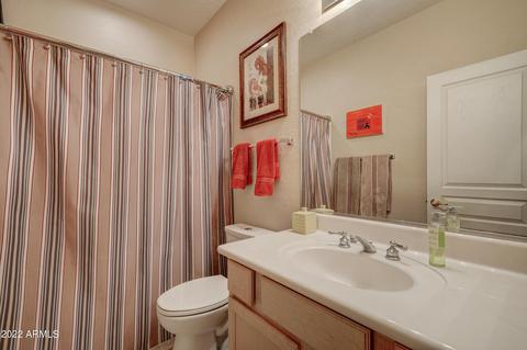 3921 E Carter Dr, Phoenix, AZ 85042 photo 12