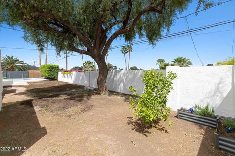 3402 E Mountain View Rd, Phoenix, AZ 85028 photo 63