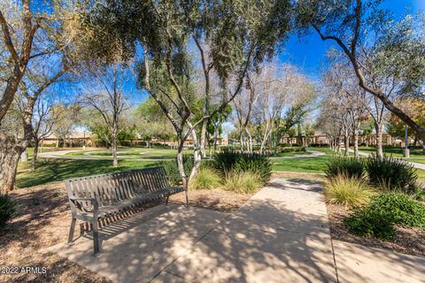 10929 E Stanton Ave, Mesa, AZ 85212 photo 53