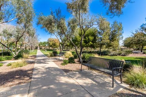 10929 E Stanton Ave, Mesa, AZ 85212 photo 52