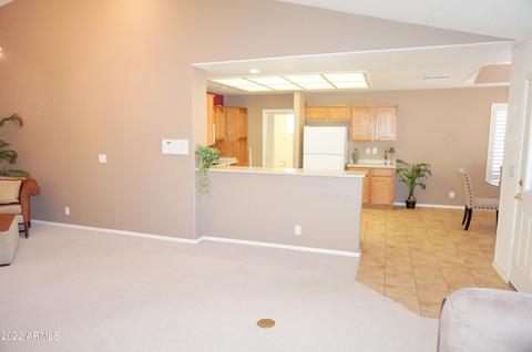 11434 E Nido Ave, Mesa, AZ 85209 photo 13