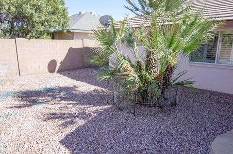 11434 E Nido Ave, Mesa, AZ 85209 photo 61