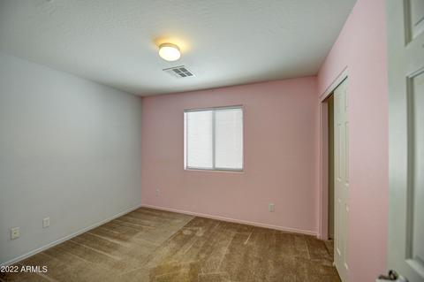 11209 E Wallflower Ln, Florence, AZ 85132 photo 20