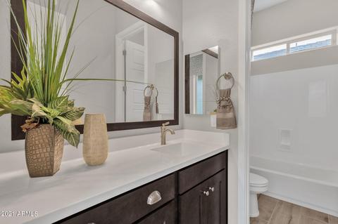 8145 E June St, Mesa, AZ 85207 photo 20