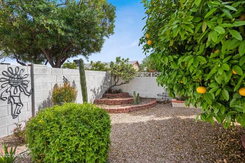 6719 E Dodge St, Mesa, AZ 85205 photo 40