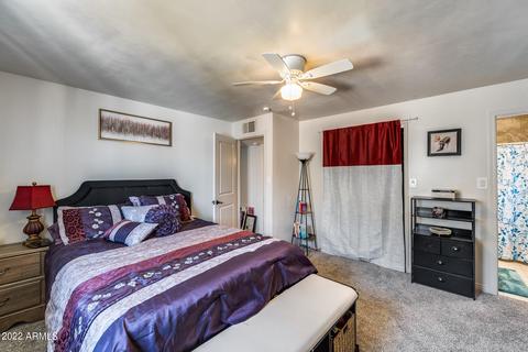 1102 E 7th St, Mesa, AZ 85203 photo 34