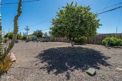 5437 E Billings St, Mesa, AZ 85205 photo 24
