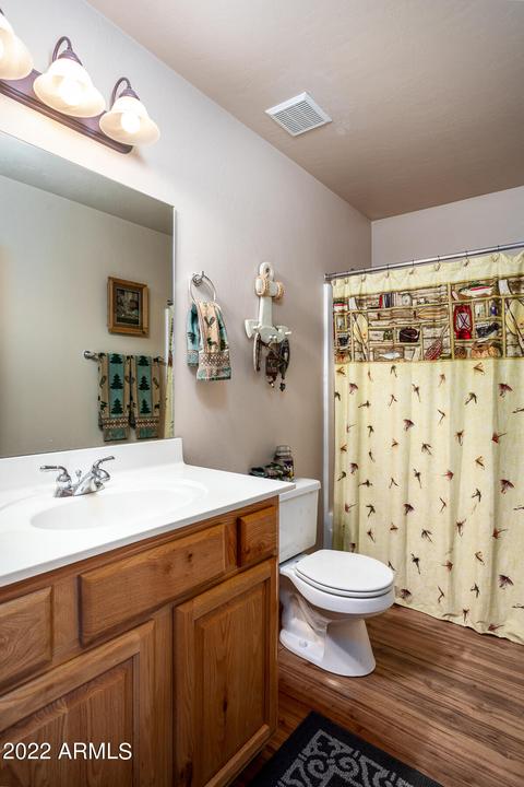 2341 Buffalo Loop, Overgaard, AZ 85933 photo 13