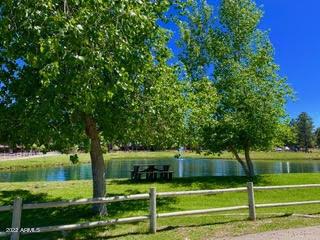 2341 Buffalo Loop, Overgaard, AZ 85933 photo 25