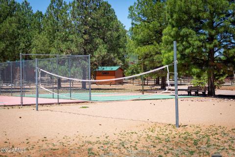 2341 Buffalo Loop, Overgaard, AZ 85933 photo 22