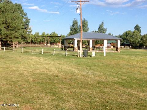 2341 Buffalo Loop, Overgaard, AZ 85933 photo 24