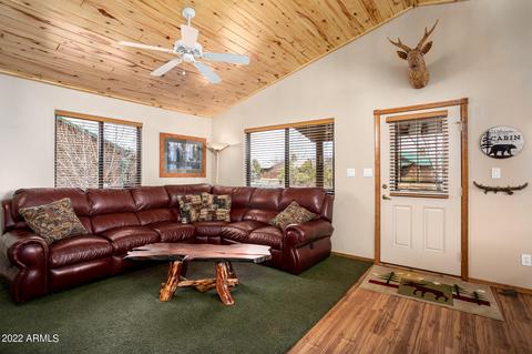 2341 Buffalo Loop, Overgaard, AZ 85933 photo 8