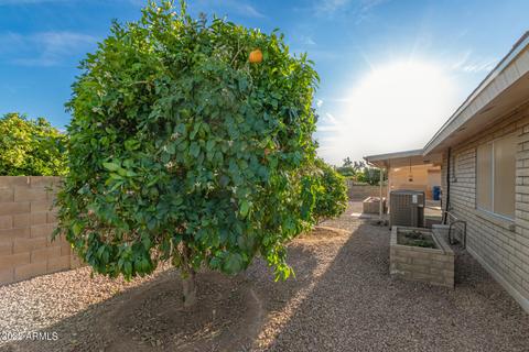4219 E Dragoon Ave, Mesa, AZ 85206 photo 42