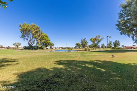 4219 E Dragoon Ave, Mesa, AZ 85206 photo 53