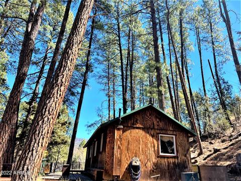 6255 W Prince Dr, Pine, AZ 85544 photo 10