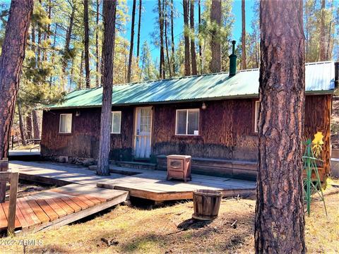 6255 W Prince Dr, Pine, AZ 85544 photo 11