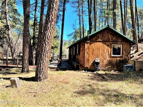 6255 W Prince Dr, Pine, AZ 85544 photo 9