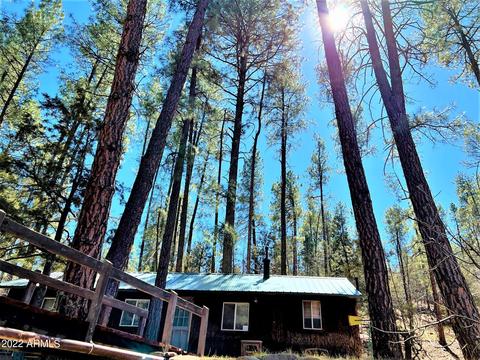 6255 W Prince Dr, Pine, AZ 85544 photo 12