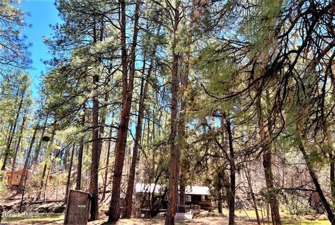 6255 W Prince Dr, Pine, AZ 85544 photo 13