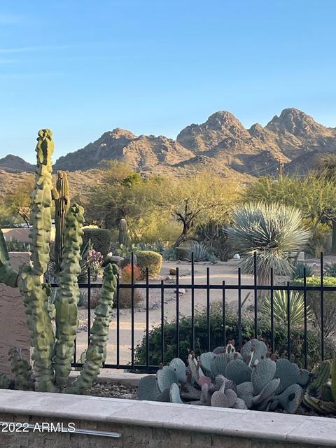 2531 E Vogel Ave, Phoenix, AZ 85028 photo 47